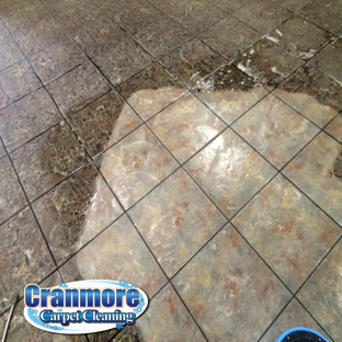 Cranmore Carpet Cleaning - Surprise, AZ