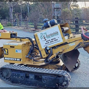 Eurobodalla Tree Services - Moruya, NSW