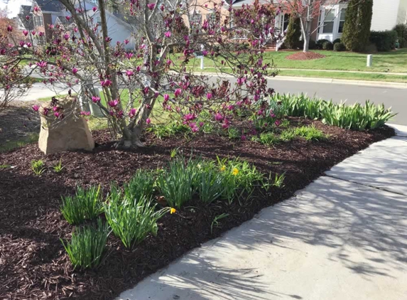 Leisure Landscape - Durham, NC. They did an outstanding job mulching my front and backyard