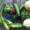 Mason Farms Roadside Farm Market gallery