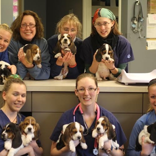 Patton Veterinary Hospital - Red Lion, PA. Patton Veterinary Hospital employees love puppies
