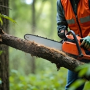 MC Tree Service - Tree Service