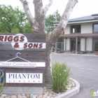 Briggs & Sons