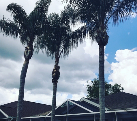 Cash’s Cuts Tree Service LLC - Tampa, FL