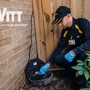 Witt Pest Management