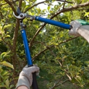 Hancock Tree Service, Inc. - Tree Service