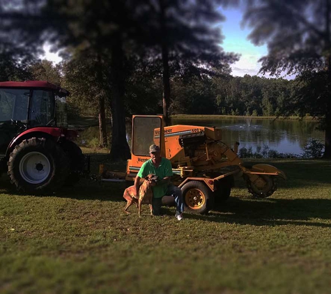 Ed's Stump Grinding - Carriere, MS