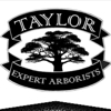 Taylor Expert Arborists gallery