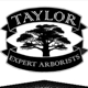 Taylor Expert Arborists