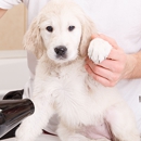 Katie's Pet Grooming - Pet Grooming