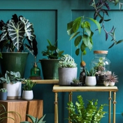 Gallery Image Number 8