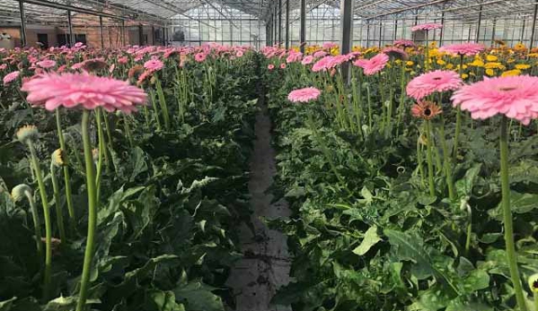Floraco Pty Ltd - West Leederville, WA