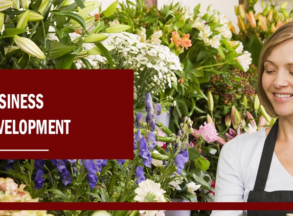 Fortune 5 Accounting - Geelong, VIC. Business Development