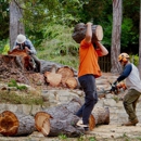 Tope's Tree Service - Stump Removal & Grinding