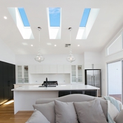 Gallery Image Number 5