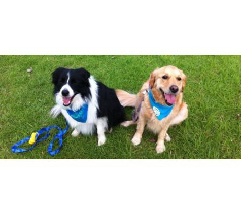 Glenvale Veterinary Clinic