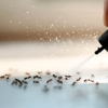 Jackson Eagle Pest Management gallery