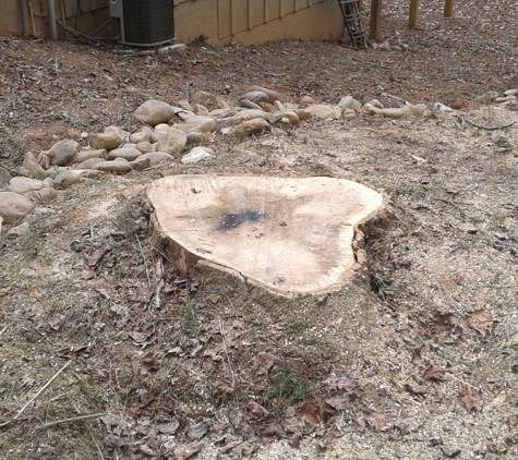 Town And Country Stump Removal - Walhalla, SC