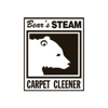 Bear's Steam Carpet Cleener gallery