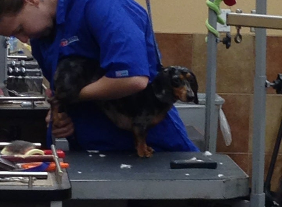 PetSmart - Wake Forest, NC