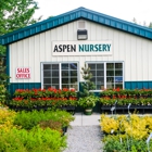 Aspen Nursery