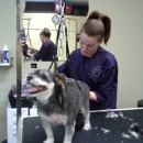 Pampered Paws Grooming LLC - Pet Services
