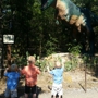 The Dinosaur Park