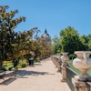 Wildscapes gallery