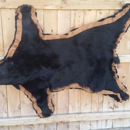 Howling Hollow Taxidermy - Taxidermists