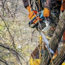 Javier Landscaping Inc - Tree Service