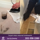 Feet Up Carpet Cleaning DC