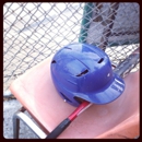 Rex's Baseball Batting Cage - Batting Cages