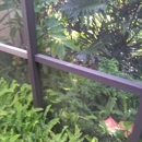 Design & Cut Landscape Services - Tree Service