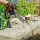 Competition Tree Service - Tree Service