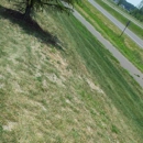 Well Groomed Lawns Inc - Gardeners