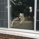 Five Oaks Mobile Pet Clinic - Veterinarians