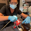 Salt Lake City Dental Assistant School gallery