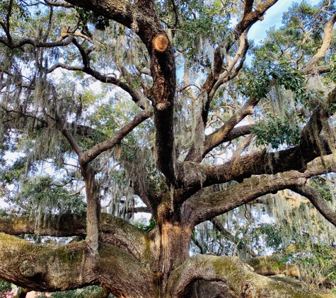 Baranoff Park - Safety Harbor, FL