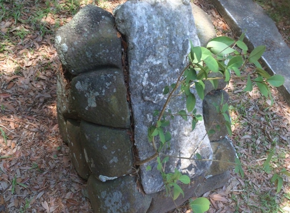 Magnolia Cemetery Trust - North Charleston, SC