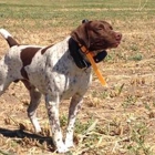 GermanPointers.Net