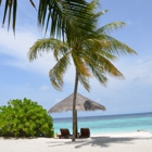 Vacations In Paradise