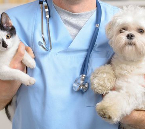 A Quality Care Veterinarian Hospital - Livonia, MI