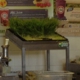 Robeks Fresh Juices & Smoothies