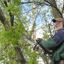 Doty's Treeworks - Tree Service