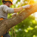 Joe's Complete Tree Service - Tree Service