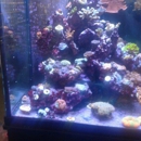 Aquarium One - Aquariums & Aquarium Supplies