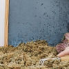 Pest Control Service Chester Springs PA gallery