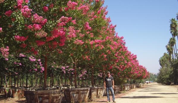 Moon Valley Nurseries - Las Vegas, NV