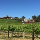 Wise Villa Winery - Wineries