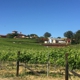 Wise Villa Winery